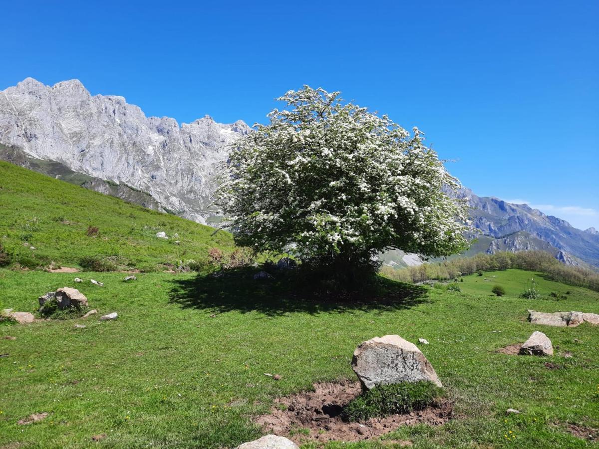 Hosteria Picos De Europa Potes Exterior photo